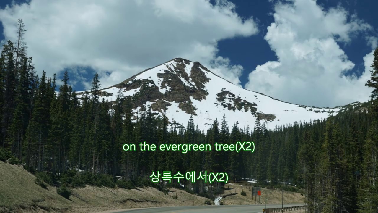 Evergreen Tree Cliff Richard with lyrics (영어가사/한글번역) YouTube