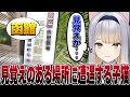 【エイプリルフール】栞葉るり似の子猫、お家探し中に見覚えのある場所に遭遇する【栞葉るり/にじさんじ切り抜き/GeoGuessr】