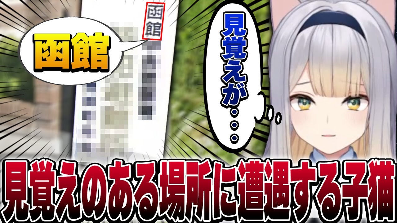 【エイプリルフール】栞葉るり似の子猫、お家探し中に見覚えのある場所に遭遇する【栞葉るり/にじさんじ切り抜き/GeoGuessr】