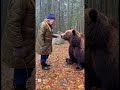 🐻vs👵 #sora2 #ai #sora #chatgpt