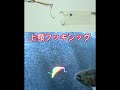 このような状況は多いんです#fishing #lure #TROUT #DRAG #ルアーフィッシング #小満屋ドラグ #ホース理論 #アワセないあわせ #Upward
