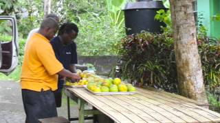 TerpVision 9: Geography of the Southern Caribbean