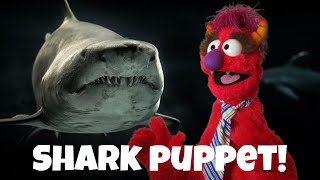 'Shark Puppet!' - Puppet Video by Lee Thompson. #leethompsonpuppeteer #puppetry #puppeteer #puppets