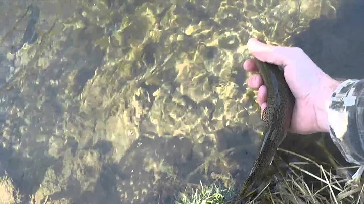 Fly Fishing 2015: Part 1