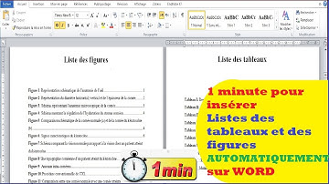 Comment insérer listes des tableaux et des figures automatiquement sur le WORD