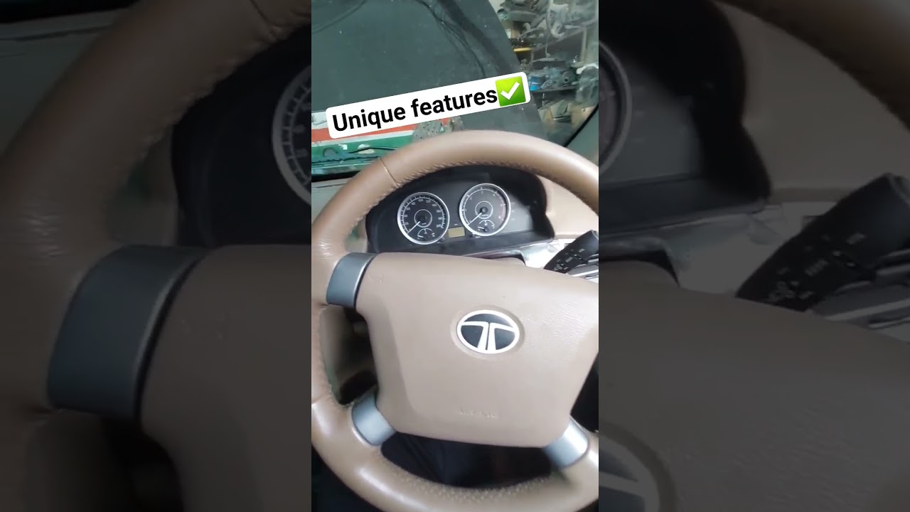 unique feature in safari storm🌹|#shortsfeed #viral #ytshorts #shortsvideo #shortsfeed #shorts
