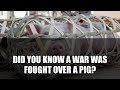 5 Bizarre Historical Events You Won't Believe! #shorts