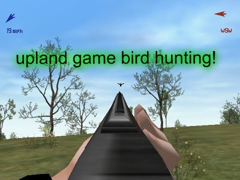 Bird Hunter Wild Wings Edition:  upland game birds