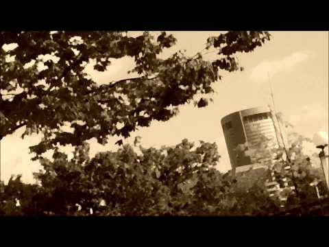 【初音ミク】奏【カバー】