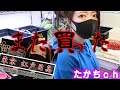 #37 【極上】強ラメめだか～メダカ専門店 江戸目高～
