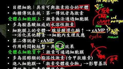 10602高三选修生物ch9 4 03激素的作用与原理三捷 - 天天要闻
