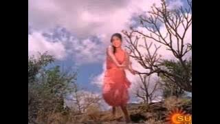 Ammamma kaatru - Vennira aadai