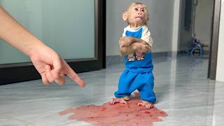 Lala Gets Into Trouble While Enjoying Juice With Mom