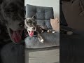 Watch Until The End…