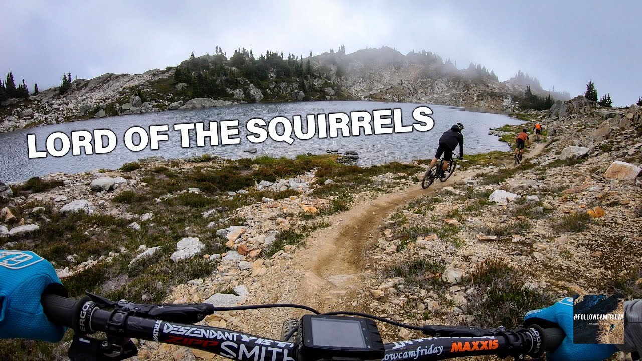 trail ridge road Squirrel Lording