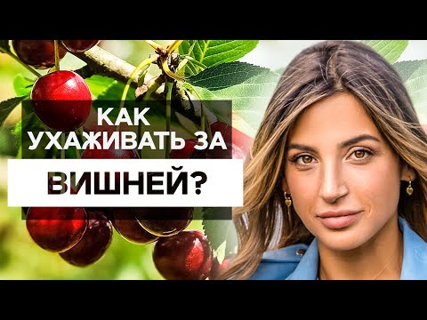 Video: Kalidünger (30 Fotos): Was Ist Das? Herstellung, Bedeutung Und Anwendung, Typen Und Ihre Namen. Welche Düngemittel Sind Kalidünger?