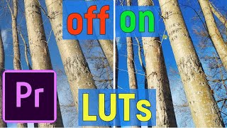 ADOBE PREMIERE PRO 2020 | 3 WAYS TO APPLY LUTS TO THE PROJECT ADOBE PREMIERE PRO 2020 | 3 WAYS TO APPLY LUTS TO THE PROJECT