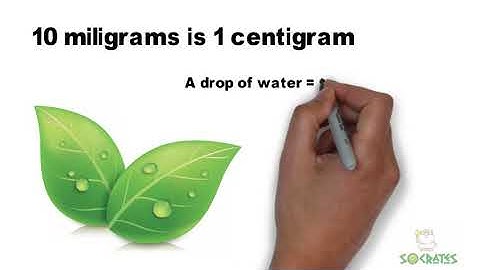 Metric Units for Measurement
