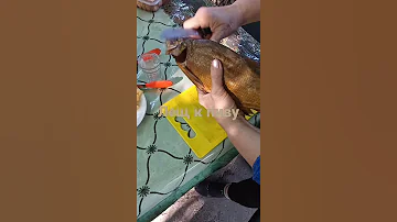 Рыба к пиву