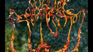 SUBLIME CADAVEROUS DESCOMPOSITION -go forth and multiply