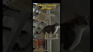 La Base Secreta de Papá #Shorts #gato #doblaje