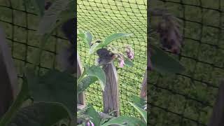 IMG 0052