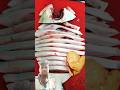 pamphlet cutting pieces#food short video#food