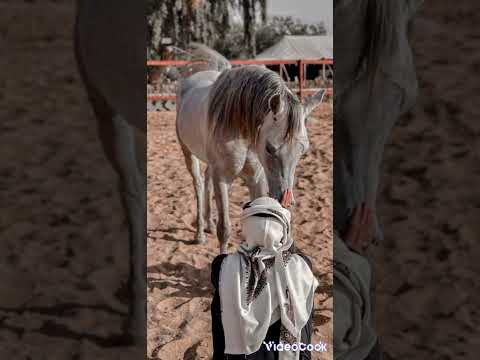 أسعد الله صباحك لبدر العزي بدون موسيقى