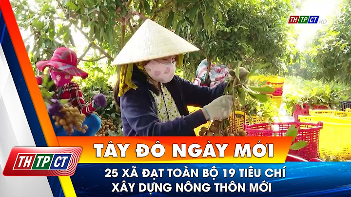 19 tiêu chí đánh giá nông thôn mới năm 2024