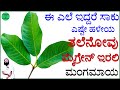 ಮೈಗ್ರೇನ್ ತಲೆನೋವಿಗೆ ಮನೆಮದ್ದು | Tale Novu Mane Maddu in Kannada | Tale Novu Mane Maddu | migraine