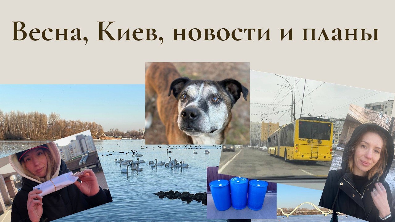 Пришлось отказаться от маникюра в целях экономии, расходы только растут !