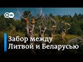 ЕС начал отгораживаться от Лукашенко: Литва строит забор на границе с Беларусью