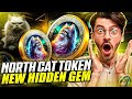 A HIDDEN GEM 💎✨ NORTH CAT TOKEN 🚀 NEXT BIG THING IN FELINE CRYPTO EMPIRE 🔥 BUY NOW
