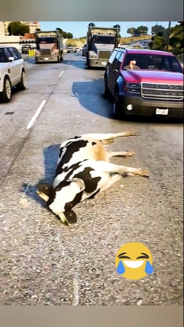 COW 🐮 Shorts 😭 La Vaca Lola Luli Pampin #cow #cowvideos #cover #viralvideo #lavacalola #2025 #vaca