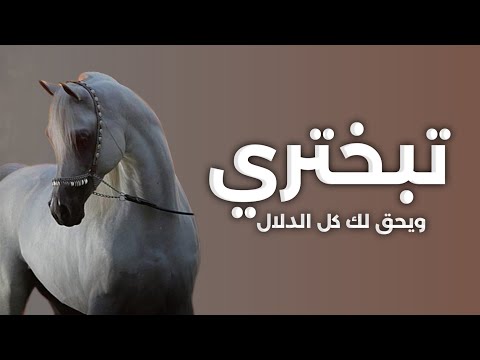 شيلة تبختري ويحق لك كل الدلال جديده 2026 افخم شيلات مدح بنات حمااسية اداء ماجد الرحيمي