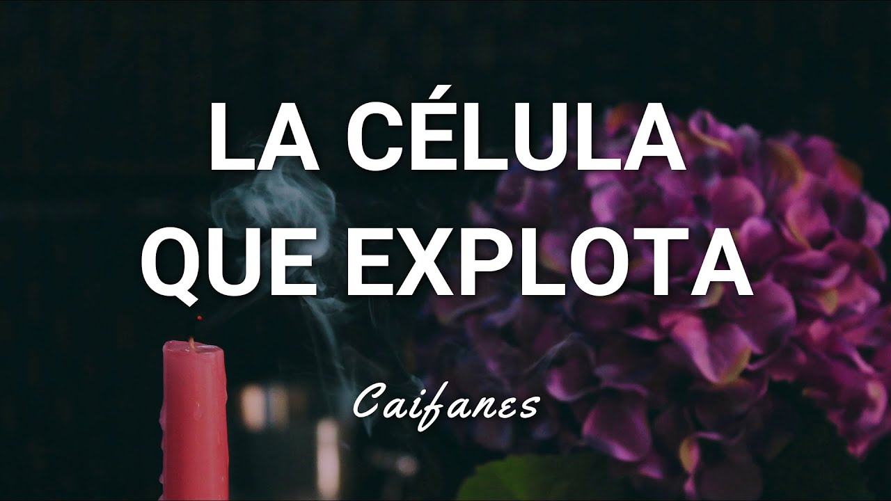 Caifanes - La Célula Que Explota - Letra - YouTube