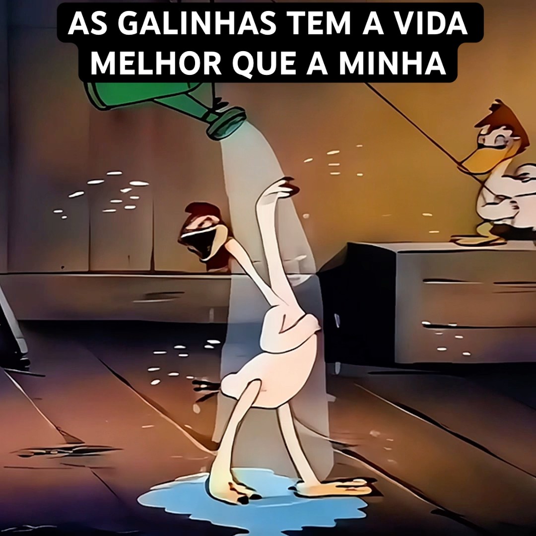 AS GALINHAS TEM A VIDA MELHOR QUE A MINHA #shorts