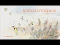 Drles doiseaux  extrait