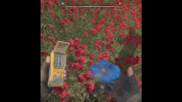 Stalker 2 How to Get the Legendary Artifact in the Poppy Field (Weird Flower)