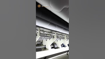 MX6 Computerized Chain Stitch Multi Needle Quilting Machine