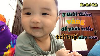 Ba giai đoạn VÀNG để phát triển TRÍ TUỆ cho con #gdgau @gdgau  | V108