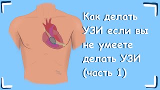 Как делать УЗИ если вы не умеете делать УЗИ (часть 1)