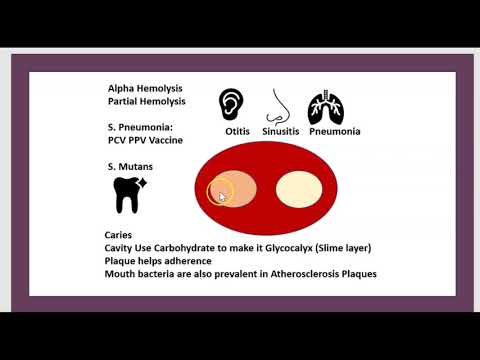 Vidéo: Agalactie - Symptômes, Traitement, Causes, Formes, étapes