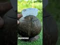 Awesome Coconut Tissue Box #shortvideos