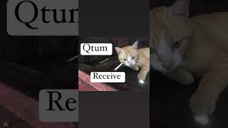 Qtum Wallet ⛓🚬qtumwallet org web wallet Import account addresses and transfers
