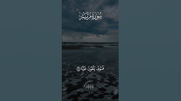 تلاوة من سورة مريم الشيخ وديع اليمني