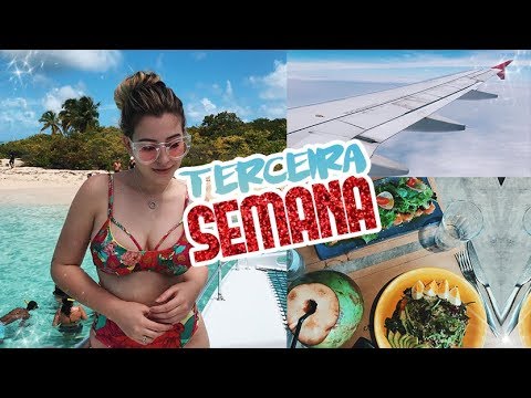 - 2,7 de gordura! DIÁRIO DA DIETA #3