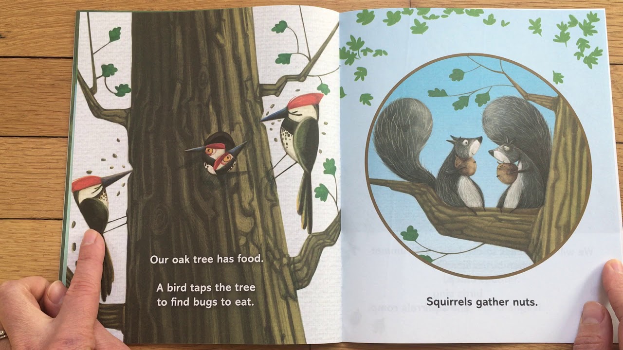 Ms  Nicole reads, "Our Oak Tree"