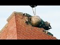 Extreme Dangerous Building Demolition Skills Construction Gets Demolished By Crane Wrecking Ball 