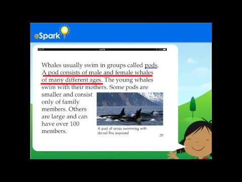 Information from Pictures and Words